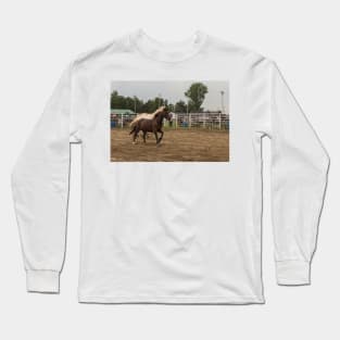 Horses in a trot Long Sleeve T-Shirt